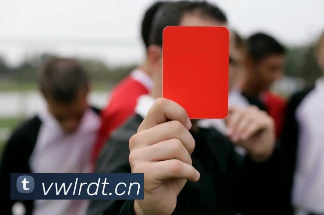 开云app品牌故事