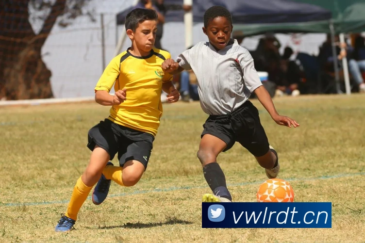 开云app服务体系